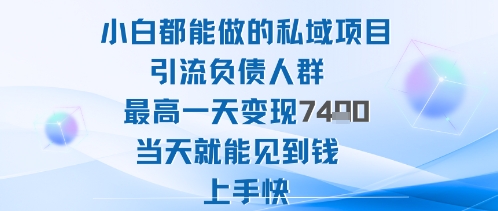 2025年小白都能做的私域项目引流负债人群最高一天变现1k+高变现难度低当天就能见到钱上手快-云创网