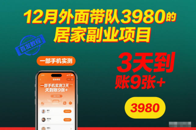 12月外面带队3980的居家副业项目，一部手机实测3天到账9张+，首发教程【揭秘】-云创网