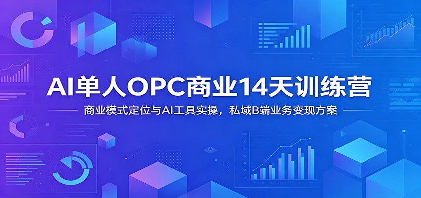 AI单人OPC商业14天训练营：商业模式定位与AI工具实操，私域B端业务变现方案-云创网