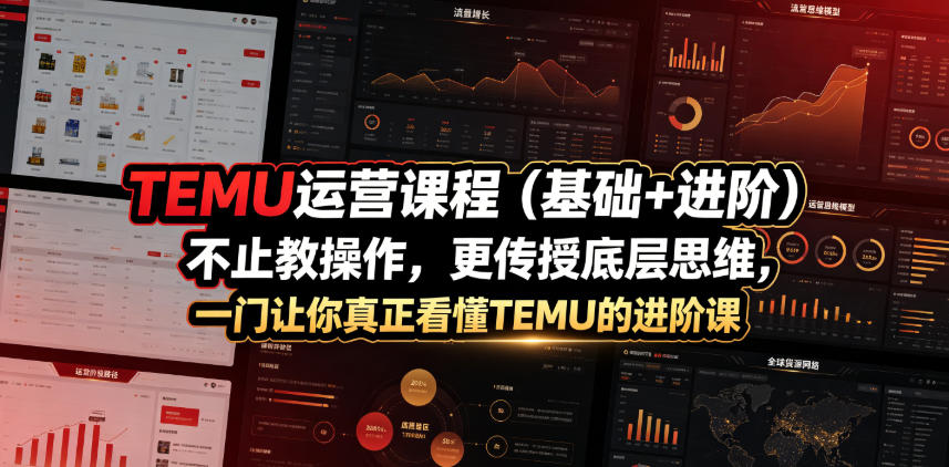 TEMU运营课程（基础+进阶），不止教操作，更传授底层思维，一门让你真正看懂TEMU的进阶课-云创网