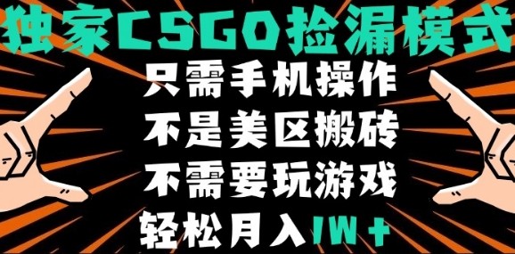 CSGO自动捡漏项目，最新独家玩法，不是美区搬砖，不需要了解和玩游戏，新手小白轻松月入1W+【揭秘】-云创网