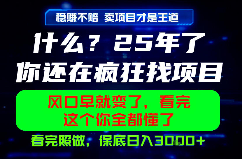 26年，请不要疯狂的找项目做了！卖项目才是真的稳賺不赔，看完照做，保底日入1k+【揭秘】-云创网