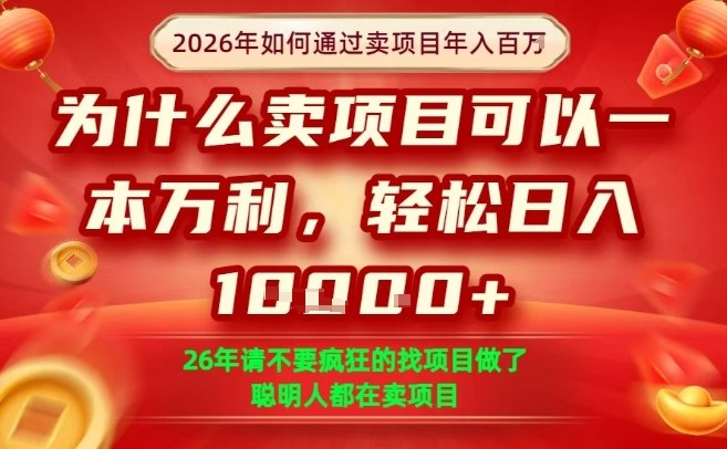一单净利润1K+，26年想年入100个W，死磕卖项目就够了【揭秘】-云创网