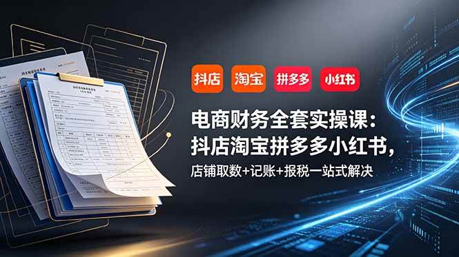 （19001期）电商财务全套实操课：抖店淘宝拼多多小红书，店铺取数+记账+报税一站式解决-云创网