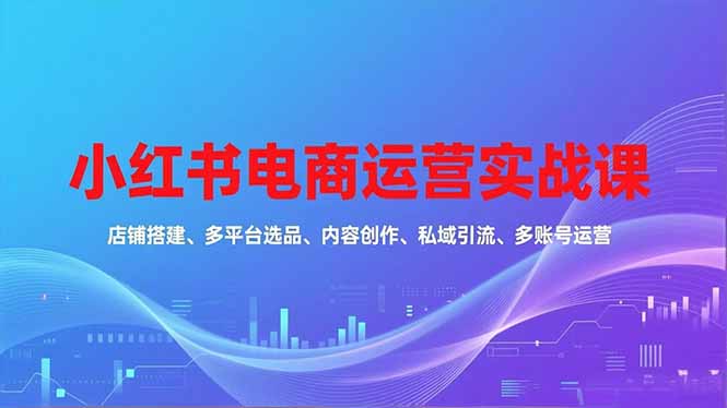 小红书电商运营实战课，店铺搭建、多平台选品、内容创作、私域引流、多账号运营等玩法-云创网