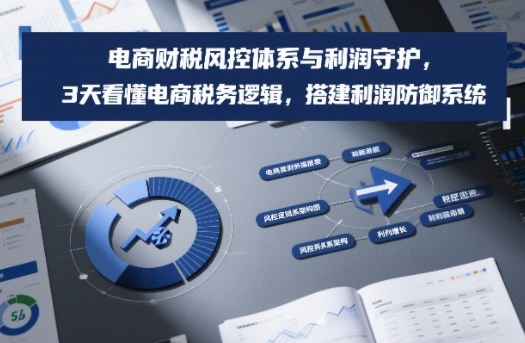 电商财税风控体系与利润守护，3天看懂电商税务逻辑，搭建利润防御系统-云创网