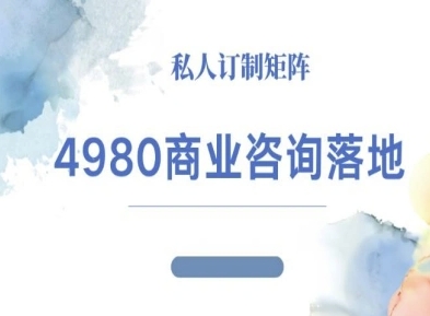 4980商业咨询师落地课程-ip运营高客单教程-云创网