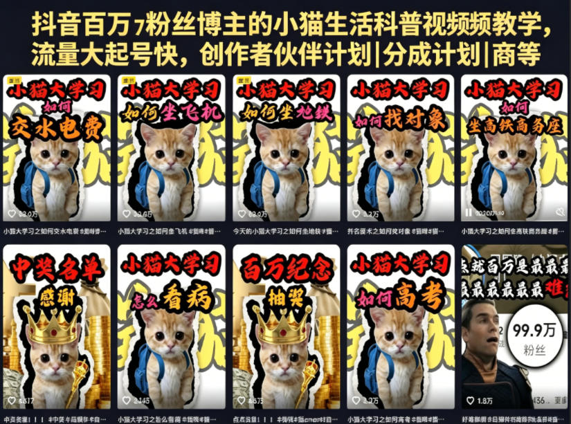 抖音百万粉丝博主的小猫生活科普视频教学，流量大起号快，创作者伙伴计划|分成计划|商单|收徒等-云创网