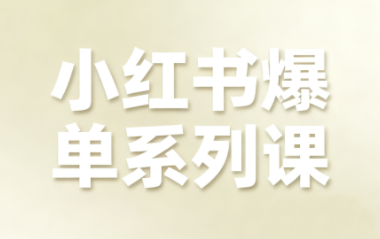 尼采老师·小红书爆单系列课-云创网