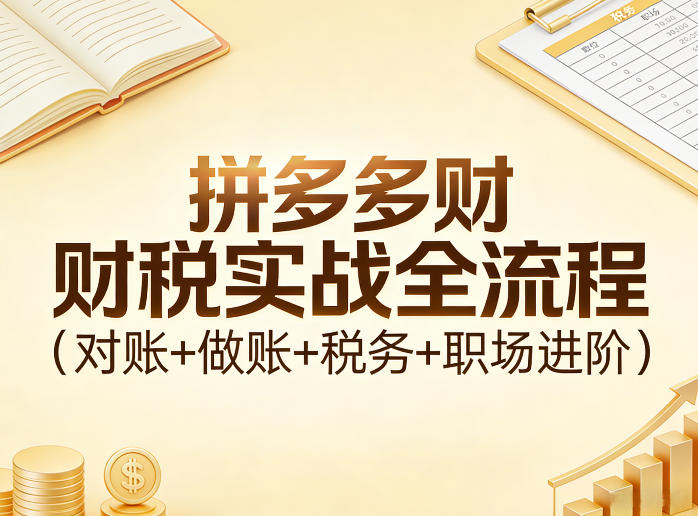 拼多多财税实战全流程(对账+做账+税务+职场进阶)-云创网