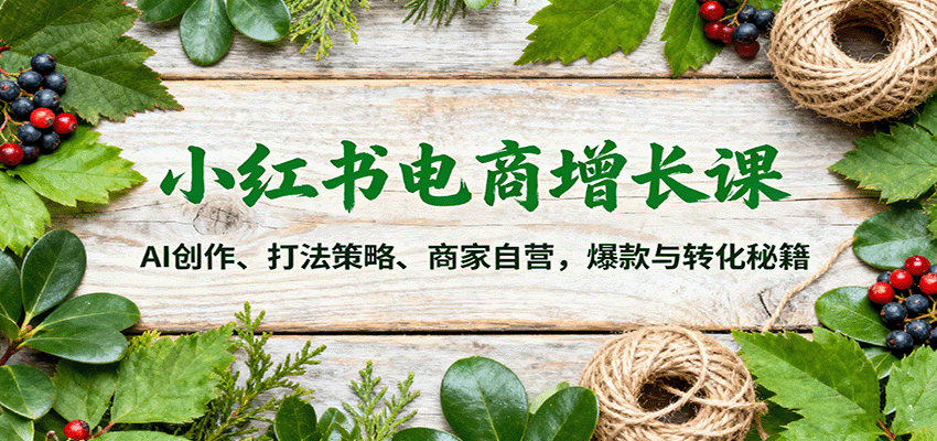小红书电商增长课：AI创作、打法策略、商家自营，爆款与转化秘籍-云创网