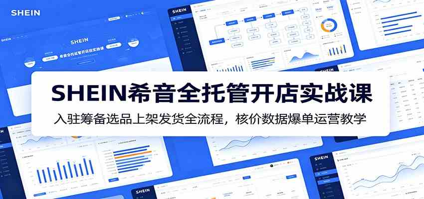 SHEIN希音全托管开店实战课：入驻筹备选品上架发货全流程，核价数据爆单运营教学-云创网