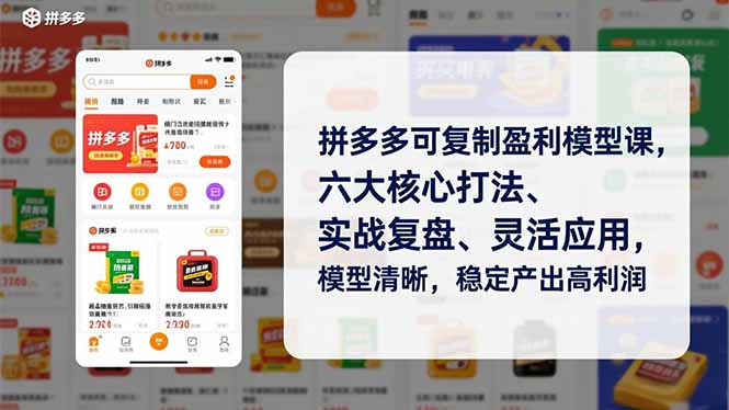 拼多多可复制盈利模型课，六大核心打法、实战复盘、灵活应用，模型清晰，稳定产出高利润-云创网