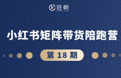 盗坤·抖音小红书视频号短视频带货与直播变现(11-18期)-云创网