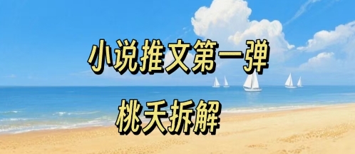 小说推文项目操作全流程第一弹，0粉就能做，门槛低非常适合新手-云创网