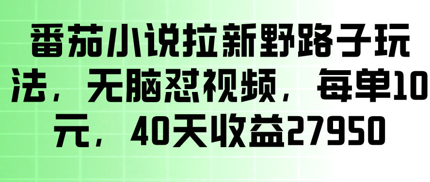 番茄小说拉新野路子玩法，无脑怼视频，玩法简单、见效快，每单10米，40天收益27950-云创网