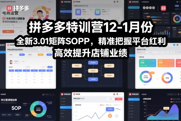 拼多多特训营12-1月份，全新3.01矩阵Sop，精准把握平台红利，高效提升店铺业绩-云创网