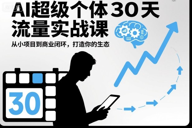 AI超级个体30天流量实战课，从小项目到商业闭环，打造你的生态-云创网