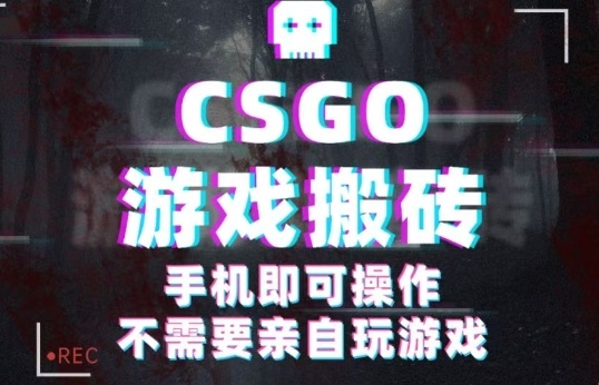 CSGO游戏挂G捡漏，单日扫货5张+，年底小高峰上车可吃肉，手机即可操作，兼职副业创业网创【揭秘】-云创网