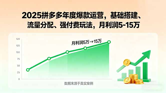 2025拼多多年度爆款运营，基础搭建、流量分配、强付费玩法，月利润5-15万-云创网