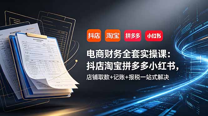 电商财务全套实操课：抖店淘宝拼多多小红书，店铺取数+记账+报税一站式解决-云创网