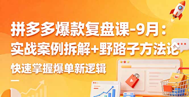 拼多多爆款复盘课-9月：实战案例拆解+野路子方法论，快速掌握爆单新逻辑-云创网