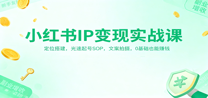 小红书IP变现实战课：定位搭建，光速起号SOP，文案拍摄，0基础也能赚钱-云创网