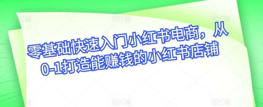零基础快速入门小红书电商，从0-1打造能赚钱的小红书店铺-云创网
