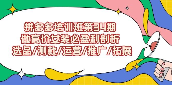 (9333期)拼多多培训班第34期：做高价女装必盈利剖析  选品/测款/运营/推广/拓展-云创网