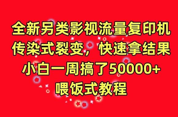 全新另类影视流量复印机，传染式裂变，快速拿结果，小白一周搞了50000+，喂饭式教程【揭秘】-云创网