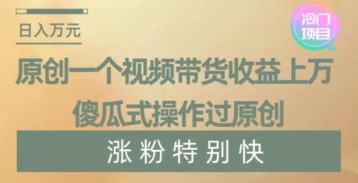 原创一个视频带货收益上万，傻瓜式操作过原创，几分钟做一个视频涨粉特别快【揭秘】-云创网