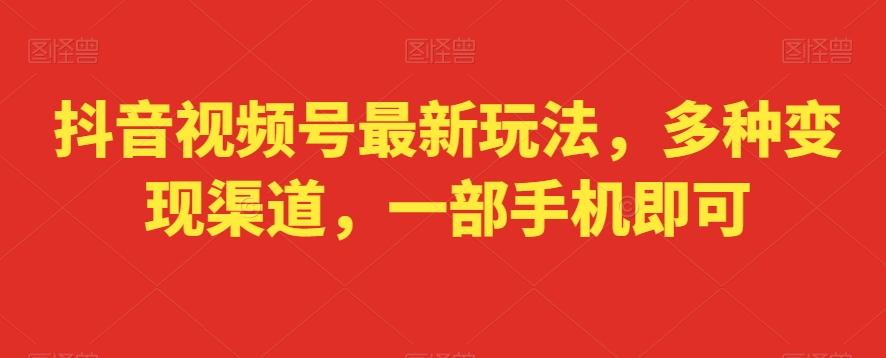 抖音视频号最新玩法，多种变现渠道，一部手机即可-云创网