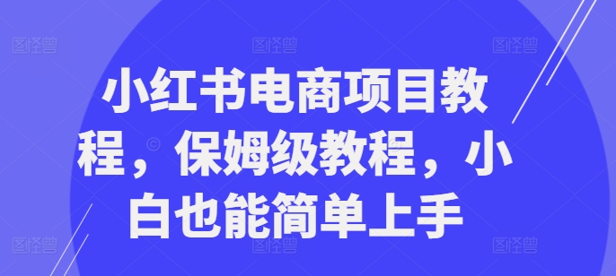 小红书电商项目教程，保姆级教程，小白也能简单上手-云创网