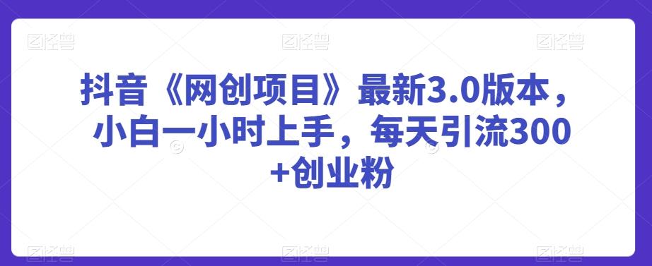 抖音《网创项目》最新3.0版本，小白一小时上手，每天引流300+创业粉【揭秘】-云创网