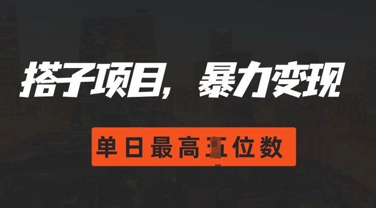 2024搭子玩法，0门槛，暴力变现，单日最高破四位数【揭秘】-云创网