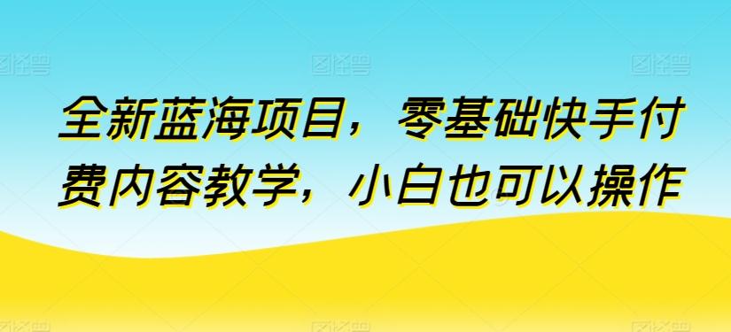 全新蓝海项目，零基础快手付费内容教学，小白也可以操作【揭秘】-云创网