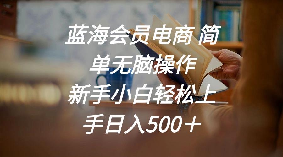 蓝海会员电商 简单无脑操作 新手小白轻松上手日入500＋-云创网