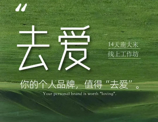 去爱14天鹿大米线上工作坊，你的个人品牌，值得“去爱”-云创网
