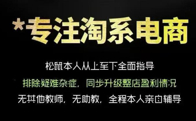 松鼠会电商VIP课程，从基础布局到高阶优化，助你掌握淘宝运营逻辑，提升店铺流量与转化(更新0901)-云创网