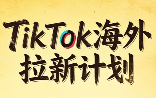 Tc联盟·TikTok海外拉新项目(更新9月)-云创网