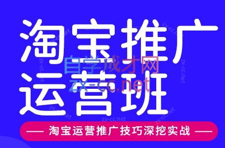 美迪电商·淘宝高级运营班+推广运营班(更新9月)-云创网