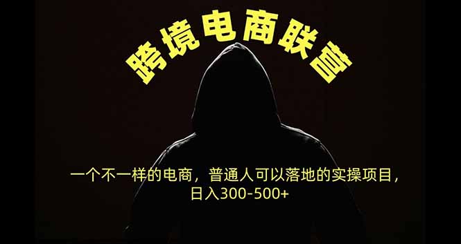 跨境电商联营，一个不一样的电商，普通人可操作日入300-500+-云创网