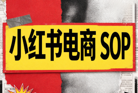 书豪必胜小红书电商sop(更新9月)-云创网
