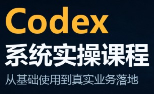 codex系统实操课程(更新10月)-云创网