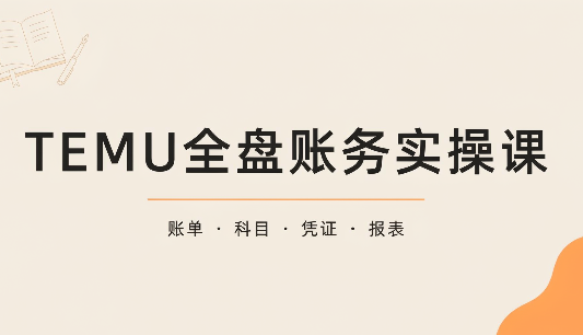 TEMU全盘账务实操课：账单导出、科目设置、利润核算-云创网