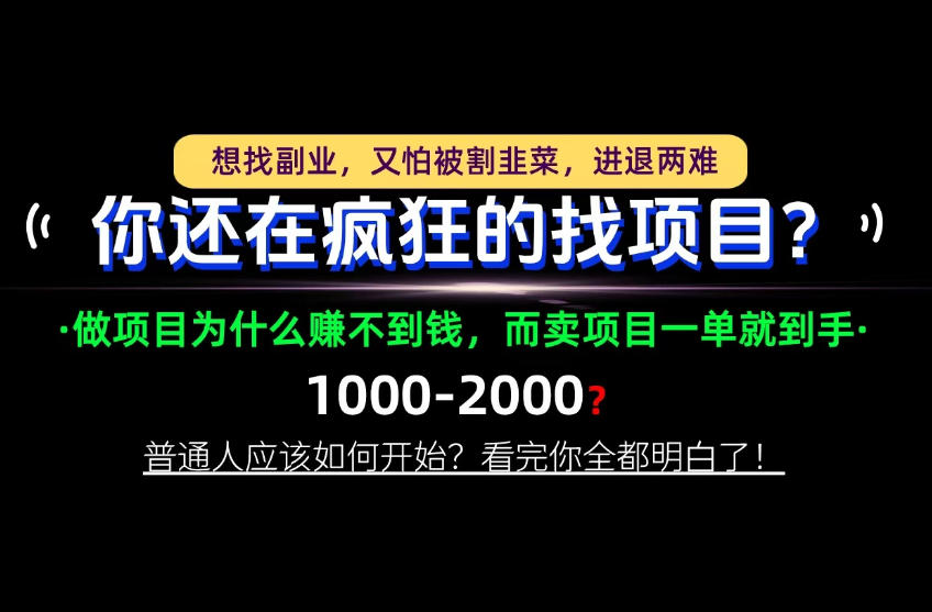 你还在疯狂的找项目？别傻了！卖项目才是真正的一本万利！怎么做，看完你全都明白！【揭秘】-云创网