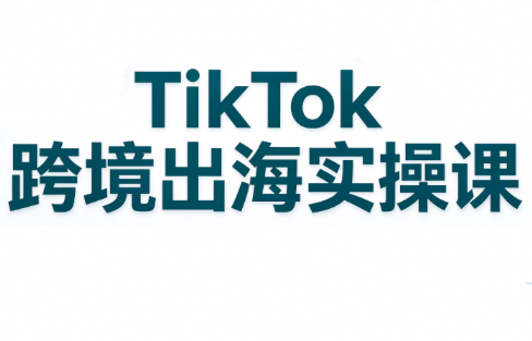 彭老师·TikTok跨境出海实操课-云创网