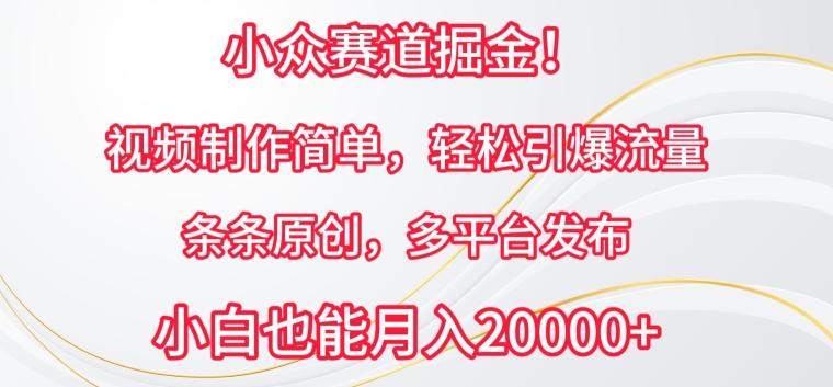 小众赛道掘金，视频制作简单，轻松引爆流量，条条原创，多平台发布【揭秘】-云创网