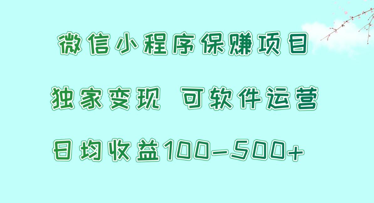微信小程序保赚项目，日均收益100~500+，独家变现，可软件运营-云创网