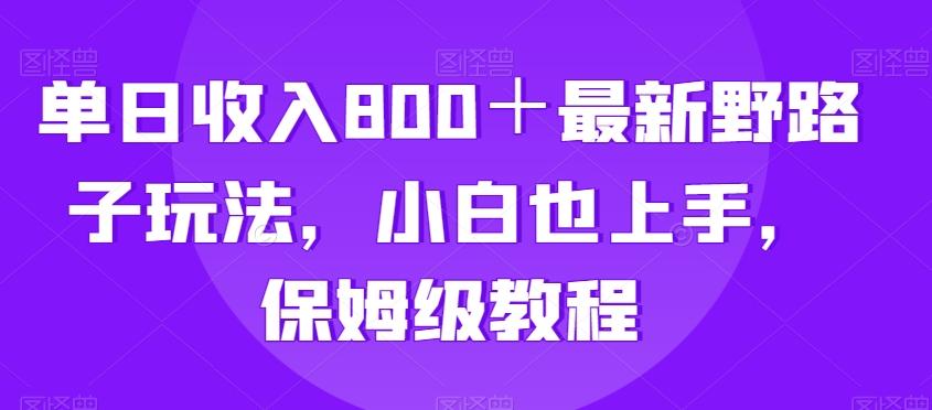单日收入800＋最新野路子玩法，小白也上手，保姆级教程-云创网